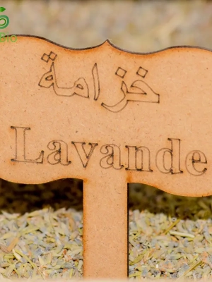 Lavande