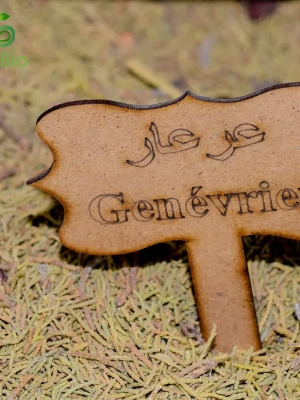 Genévrier séché