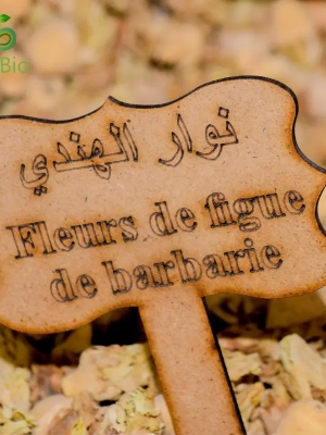 Fleurs de Figues de Barbarie
