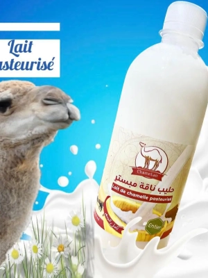 Lait de Chamelle