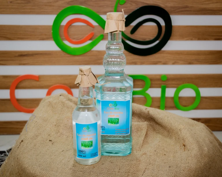 eau de menthe famille
