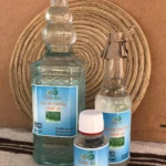 Famille Eau de menthe