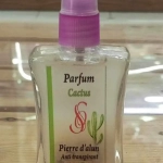 Deodorant cactus